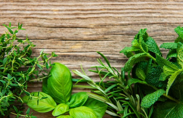 Herbes fraîches sur la vue de dessus de table en bois