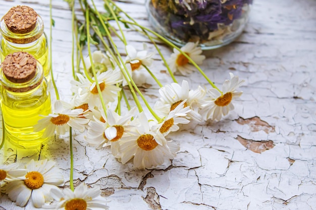 Herbes médicinales en bouteilles extrait d'huile de camomille mise au point sélective