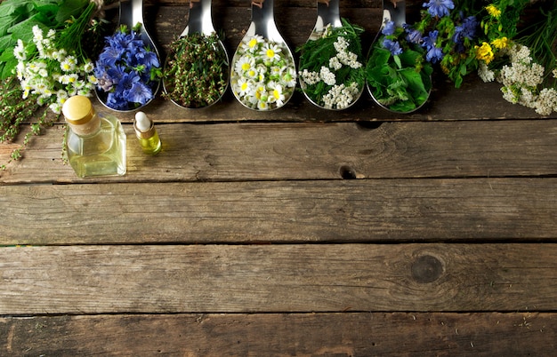 Herbes médicinales fraîches.