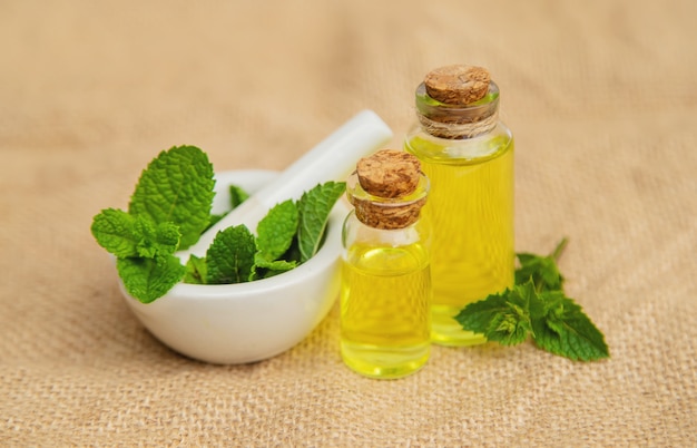 Herbes medicinales. médecine et santé.