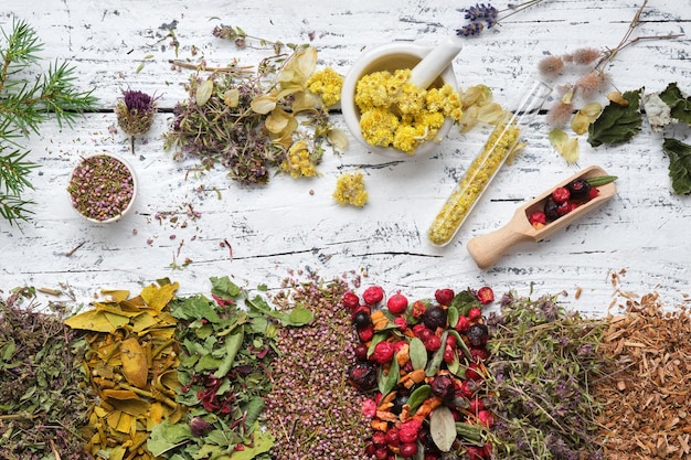 Herbes médicinales séchées fruits et baies marjolaine sauvage gui bruyère thym écorce de chêne