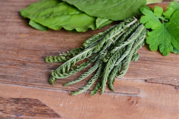 Herbes médicinales sur table close-up