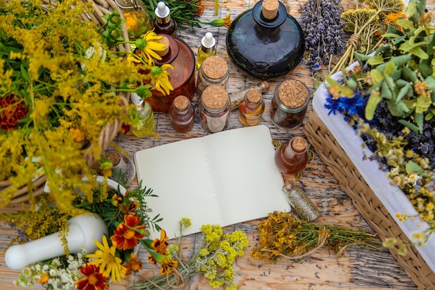 Herbes médicinales sur la table Place pour le texte du bloc-notes Mise au point sélective