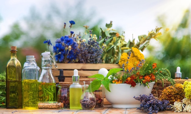 Herbes médicinales et teintures naturelles Mise au point sélective