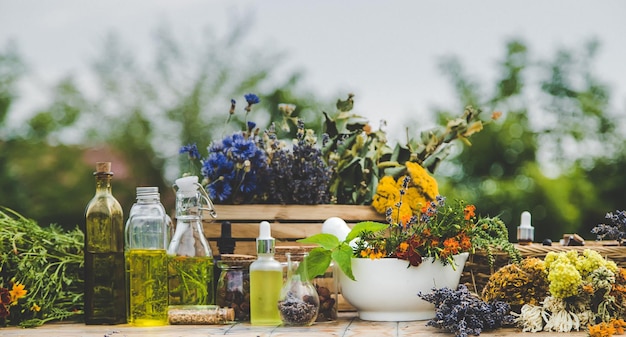 Herbes médicinales et teintures naturelles mise au point sélective