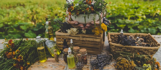 Herbes médicinales et teintures naturelles mise au point sélective