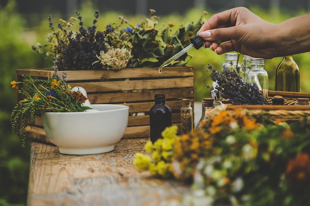 Herbes médicinales et teintures naturelles mise au point sélective