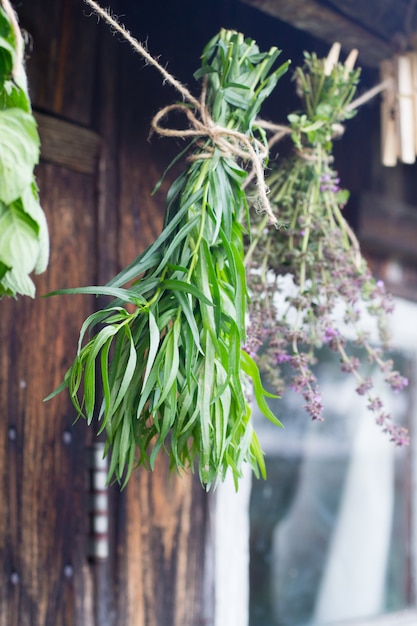 Les herbes pendent et sèchent