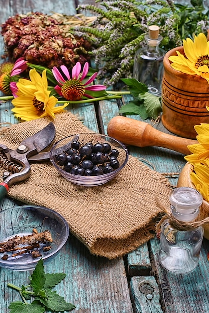 Herbes Et Plantes Médicinales