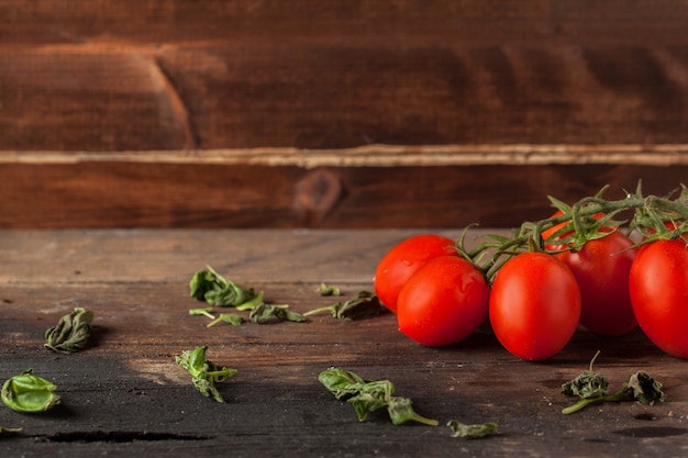 herbes et tomates