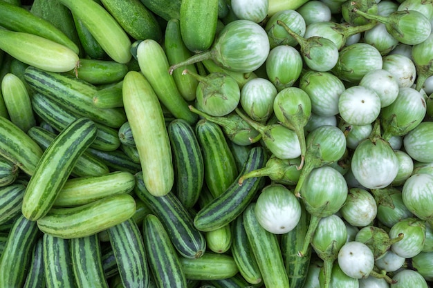 Herbes végétales biologiques