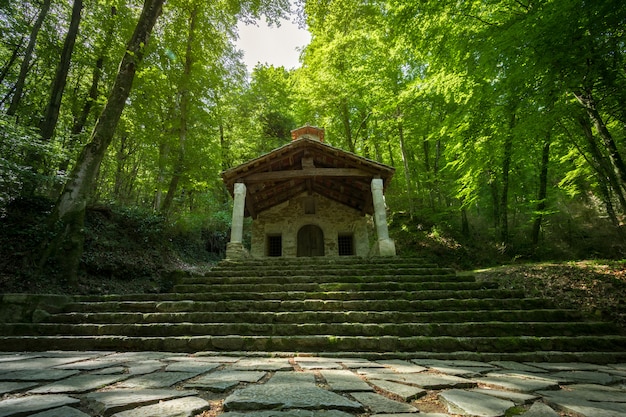 Hermitage au milieu de la forêt