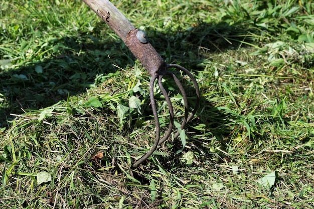 Herse de champ avec herbe coupée