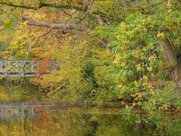 Heure d'automne en Westphalie