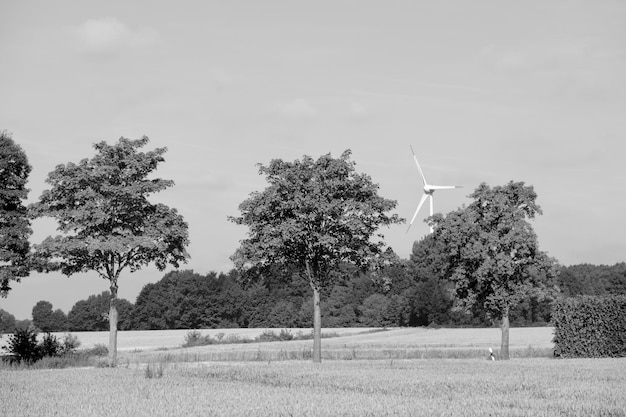 heure d'été en Westphalie