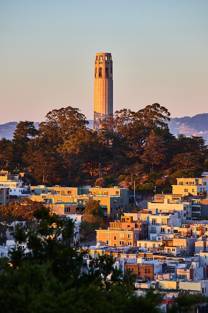 L'heure d'or frappe les immeubles d'habitation et la Coit Tower sur Telegraph Hill