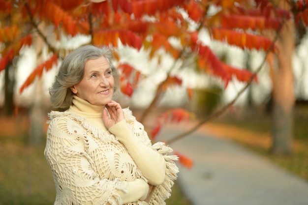 Heureuse belle vieille femme dans le parc en automne