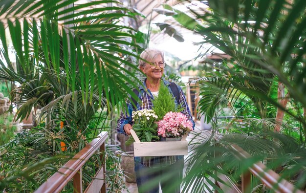 Heureuse femme caucasienne senior en chemise à carreaux faisant du shopping dans la serre en sélectionnant des pots de plantes et de fleurs pour son jardin