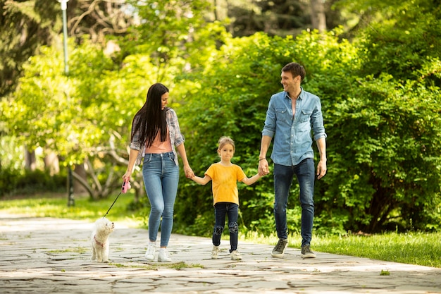 Heureuse jeune famille avec mignon chien bichon dans le parc