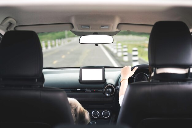 Heureuse jeune femme conduisant une voiture avec un chien le long de la route vide au coucher du soleil en vue arrière.