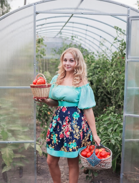 Heureuse Jeune Fille Avec La Récolte De Tomates En Serre