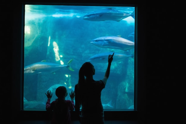 Heureuse mère et fille regardant le réservoir