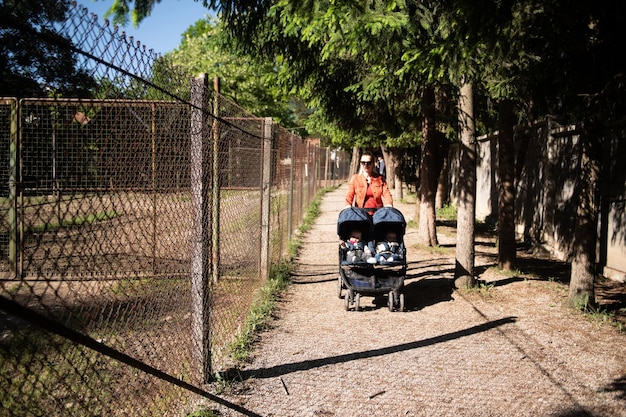 Heureuse mère avec poussette dans le parc