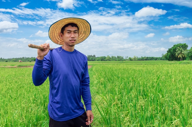 Heureux agriculteur thaïlandais récolte du riz dans la campagne en Thaïlande