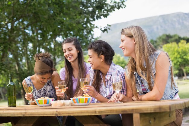 Heureux amis dans le parc ayant du vin