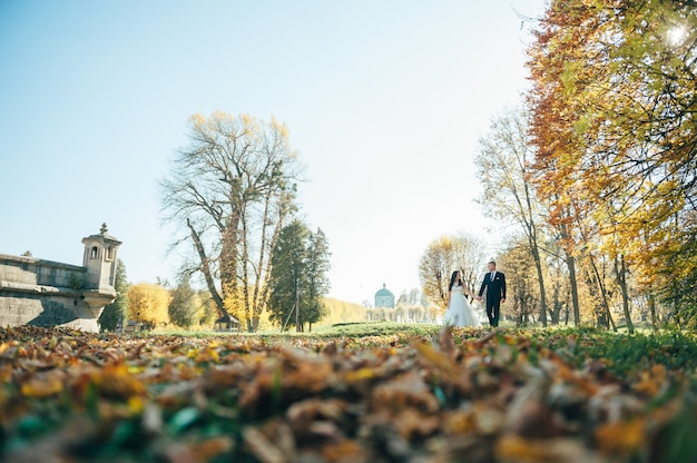 Heureux et amoureux mariés marchent dans le parc d'automne le jour de leur mariage