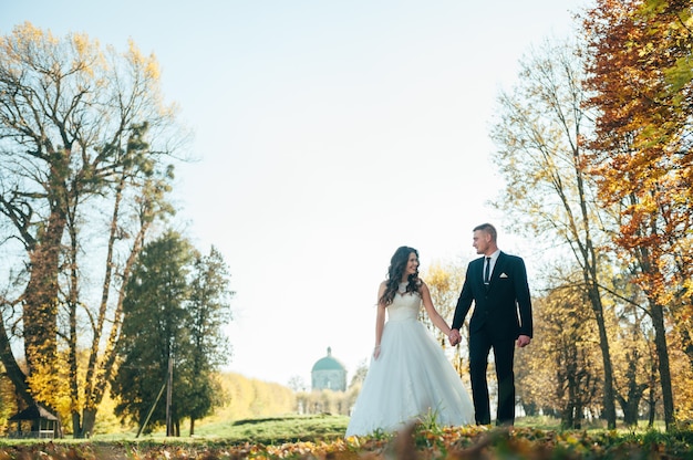 Heureux et amoureux mariés marchent dans le parc d'automne le jour de leur mariage