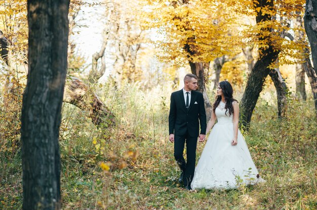 Heureux et amoureux mariés marchent dans le parc d'automne le jour de leur mariage