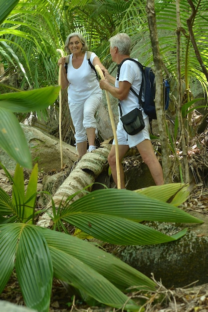 Heureux beau couple de personnes âgées dans la forêt tropicale