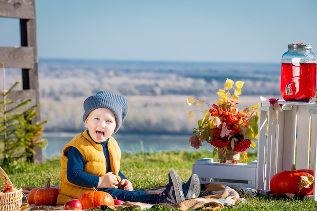 Heureux et beau petit garçon à l'extérieur en pique-nique avec des citrouilles à carreaux et des décorations d'automne