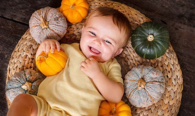 Heureux bébé mignon sur le panier avec différentes petites citrouilles de bébé