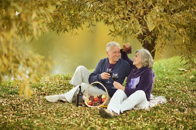 Heureux couple d'âge mûr dans le parc en automne