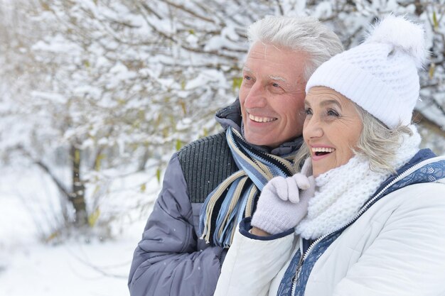 Heureux couple d'âge mûr posant à l'extérieur en hiver