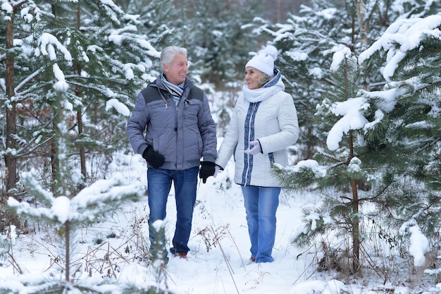 Heureux couple d'âge mûr s'amuser à l'extérieur en hiver