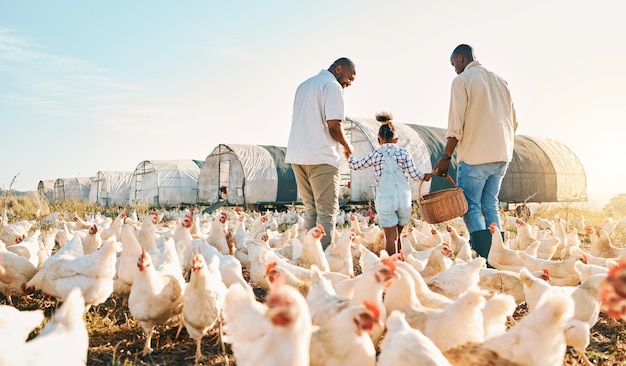 Heureux couple gay et tenant la main d'une famille noire dans une ferme de poulets pour l'environnement agricole et les liens Détendez-vous lgbtq et aimez avec les hommes et les enfants sur le terrain de la campagne pour le soin des œufs ou des animaux