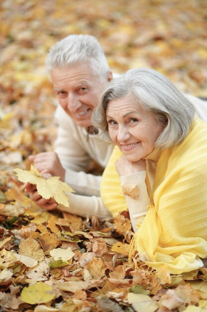 Heureux couple de personnes âgées allongé sur les feuilles d'automne