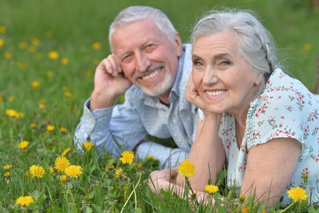 Heureux couple de personnes âgées allongé sur un pré vert avec des pissenlits