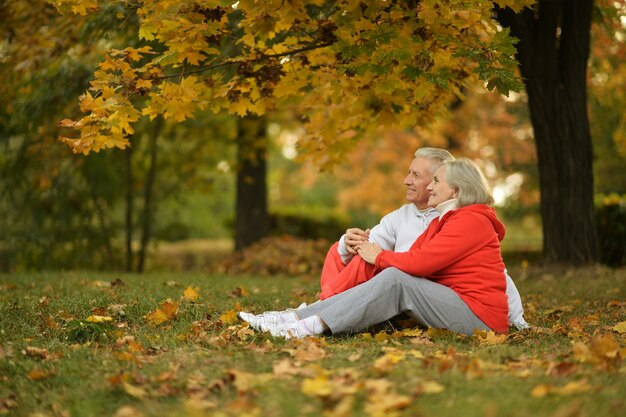 Heureux couple de personnes âgées dans le parc en automne