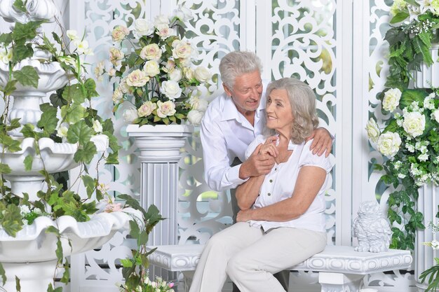 Heureux couple de personnes âgées posant dans une chambre confortable et lumineuse