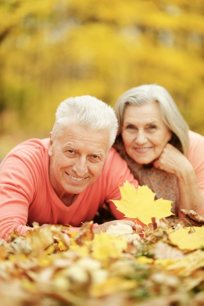 Heureux couple de personnes âgées posant sur les feuilles d'automne