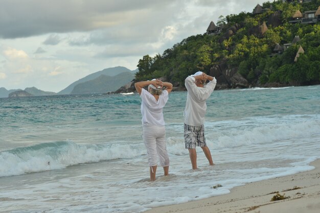 Heureux couple de personnes âgées reste à la plage tropicale, vue arrière