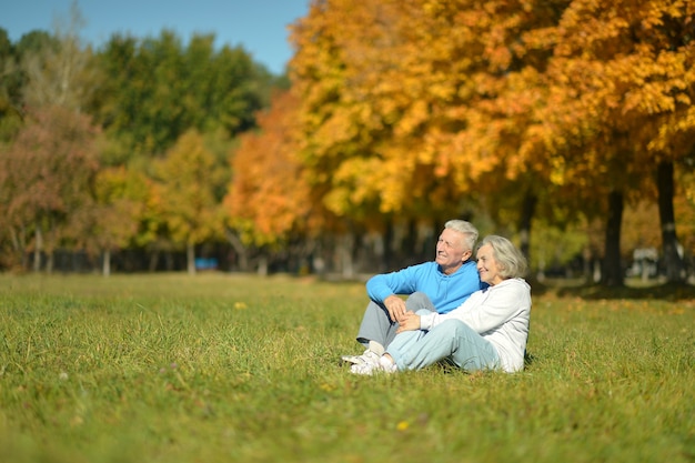 Heureux couple de personnes âgées se détendre dans le parc en automne