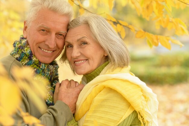 Heureux couple de personnes âgées se détendre dans le parc en automne