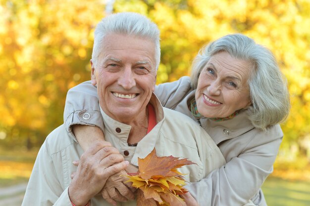 Heureux couple senior sympa dans le parc automne