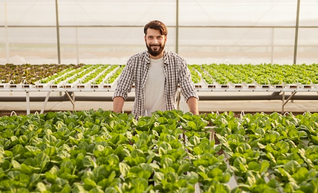 Heureux fermier barbu en chemise à carreaux souriant et regardant la caméra en se tenant debout derrière les pousses vertes à l'intérieur de la serre hydroponique