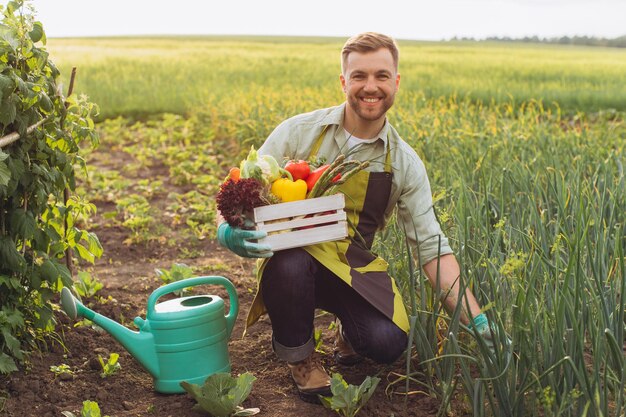 Heureux fermier homme tenant un panier avec des légumes frais et travaillant dans le concept de jardinage